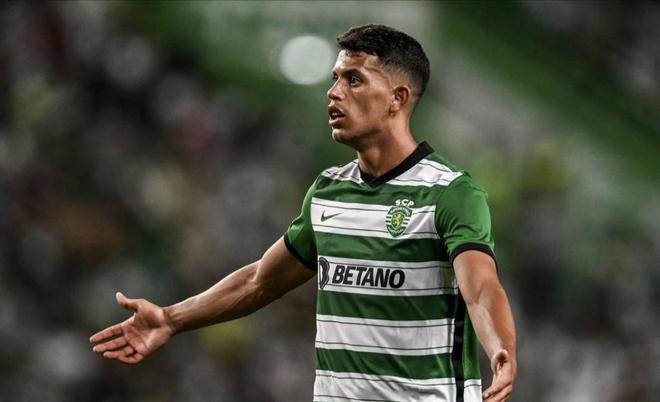 这与他在皇 这与他在皇